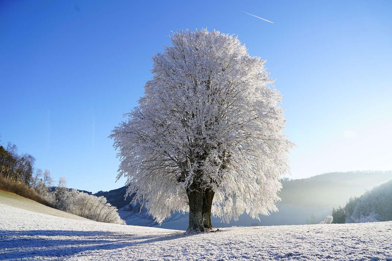 5 טיפים לשיפור הצילום בעונת החורף